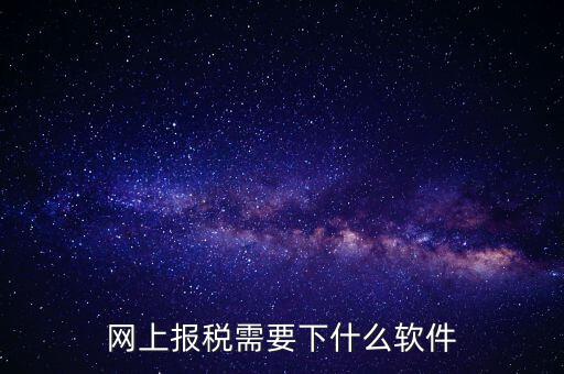 報國稅都安裝什么軟件，網(wǎng)上報稅需要下什么軟件