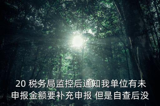 稅務(wù)局為什么風(fēng)險報告，稅務(wù)局發(fā)來稅遵從風(fēng)險分析報告什么意思