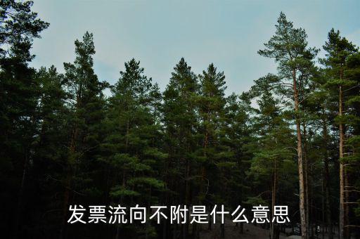 什么是流向票，發(fā)票流向不附是什么意思
