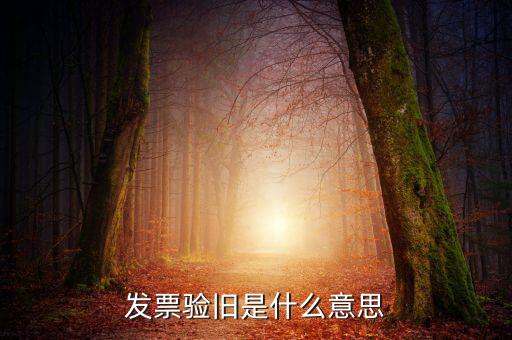 增值稅驗(yàn)舊是什么意思，發(fā)票驗(yàn)證時(shí)提示舊系統(tǒng)已驗(yàn)舊是什么意思