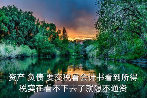 資產(chǎn)為什么要交所得稅，盤盈的固定資產(chǎn)為什么要繳納所得稅