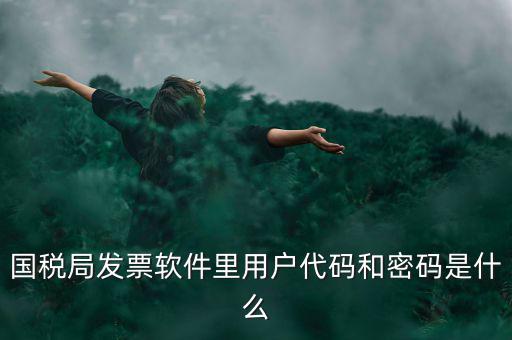 國(guó)稅局發(fā)票軟件里用戶(hù)代碼和密碼是什么