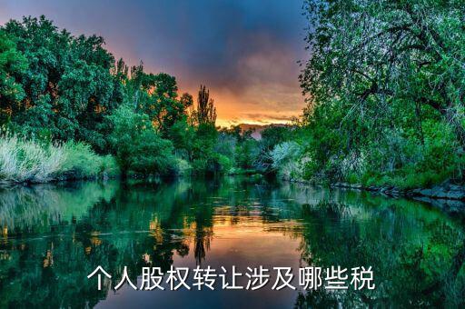 個人股權轉讓都涉及什么稅，法人股東股權轉讓分別涉及哪些稅種