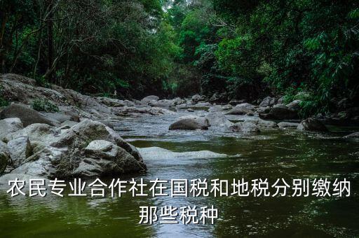 稅務(wù)局向合作社收取什么稅，農(nóng)民專業(yè)合作社在國稅和地稅分別繳納那些稅種