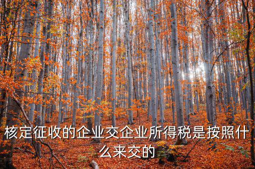 核定稅稅率是按照什么作參照的，稅率按照哪個來定