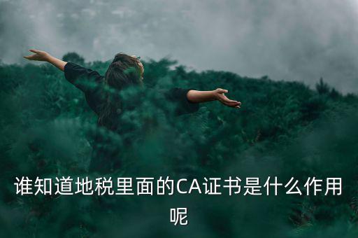 稅務企業(yè)ca登錄是什么意思，網(wǎng)上報稅CA驗證系統(tǒng)是甚么