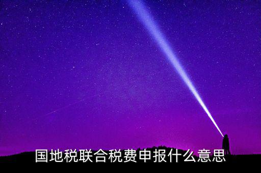 國稅地稅聯(lián)合有什么用，國地稅聯(lián)合稅費申報什么意思