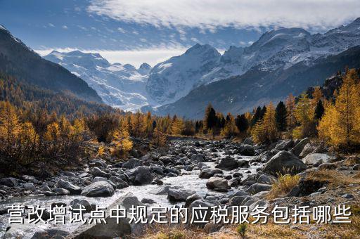 應(yīng)稅服務(wù)中止指什么，小規(guī)模申報(bào)表中應(yīng)稅服務(wù)什么意思