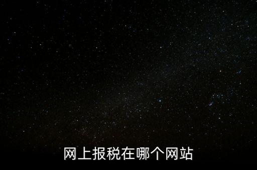 廣西網(wǎng)上辦稅的網(wǎng)址是什么意思，網(wǎng)上報稅在哪個網(wǎng)站