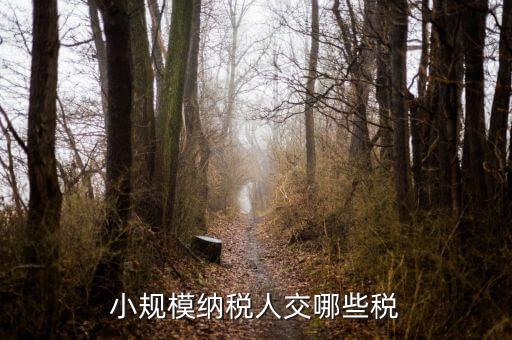 小規(guī)模都交什么稅，小規(guī)模納稅人要交什么稅