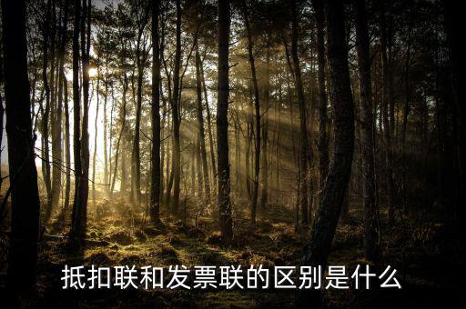 抵扣聯和發(fā)票聯的區(qū)別是什么