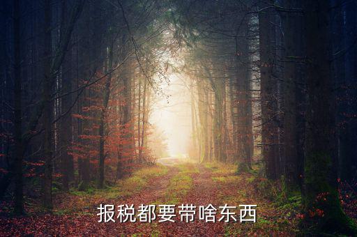 大連國稅局報稅帶什么東西，報稅都要帶啥東西