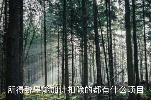 什么企業(yè)加計扣除，人員工資加計扣除政策是什么意思