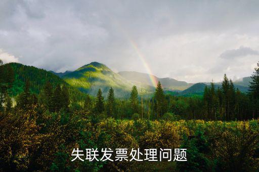增值稅普通失聯(lián)發(fā)票是什么意思，增值稅普通發(fā)票是什么意思