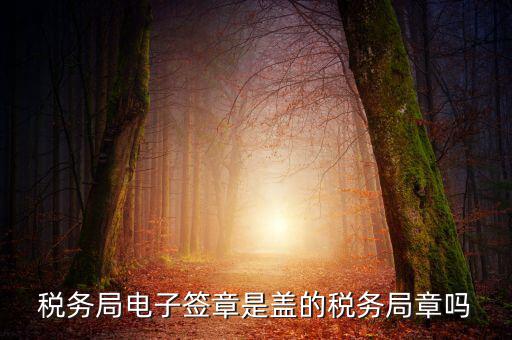 稅務(wù)局電子簽章是什么，在國(guó)稅系統(tǒng)電子簽章時(shí)為什么不是每次都提示輸入口令