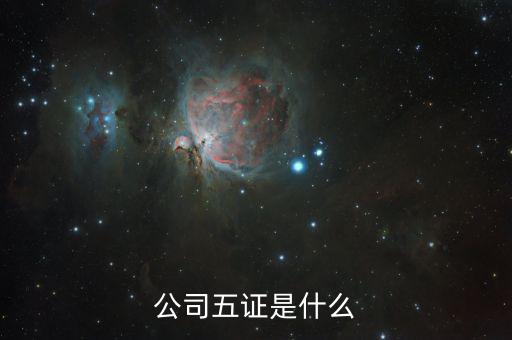 一般納稅人五證是什么意思，一般情況下公司的五證指得都是什么證