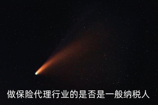 保險(xiǎn)公司屬于什么納稅人，財(cái)險(xiǎn)公司屬于甚么納稅人