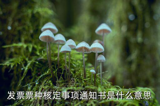票種核定是什么，哪些情況下要進行國稅票種核定
