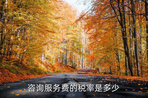咨詢服務交什么稅，公司收到一筆咨詢費應該如何納稅稅率是多少急謝謝