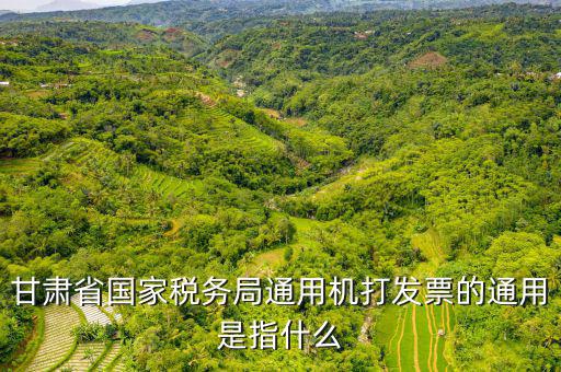 山西省稅務(wù)局六最是指什么，甘肅省國(guó)家稅務(wù)局通用機(jī)打發(fā)票的通用是指什么