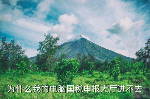 陜西國家稅務(wù)局為什么上不去，為什么我的電腦國稅申報大廳進不去