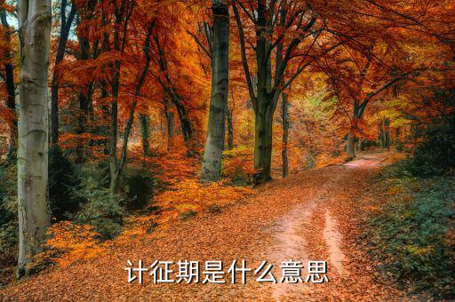 計征單價什么意思，求FOB報價計算方法產(chǎn)品出貨量1000PCS單價70RMB不含稅