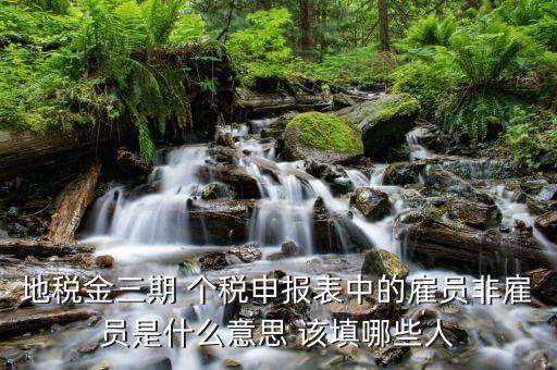 個(gè)稅申報(bào)人員是什么，地稅金三期 個(gè)稅申報(bào)表中的雇員非雇員是什么意思 該填哪些人