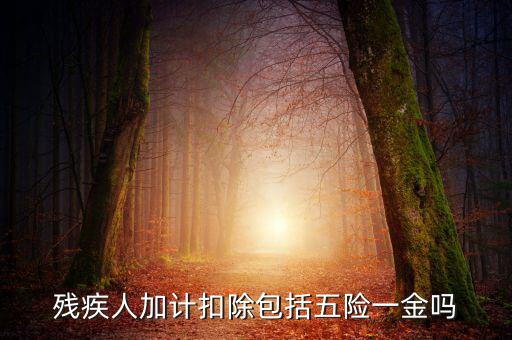 殘疾人加計扣除是什么意思，福利企業(yè)殘疾職工工資百分百加計扣除是怎么回事