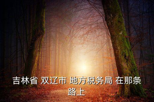 吉林市地稅局在什么位置，吉林市地方稅務(wù)局第二直屬稅務(wù)局在哪個(gè)區(qū)