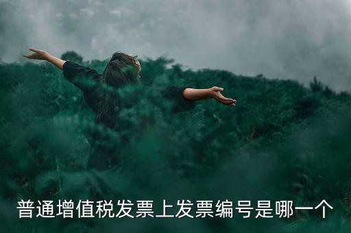 增值稅編號是什么，普通增值稅發(fā)票上發(fā)票編號是哪一個