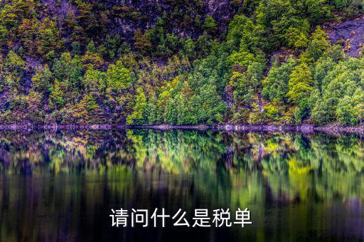 納稅申報(bào)單是什么，網(wǎng)上申報(bào)納稅都是什么報(bào)表 如何操作 簡(jiǎn)單么