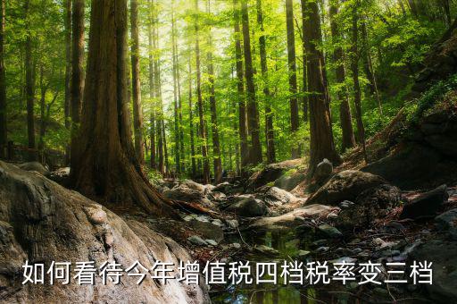 增值稅四檔稅率是什么意思，增值稅發(fā)票開四個點是什么意思