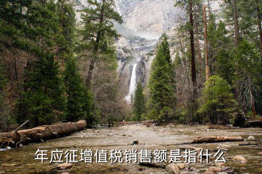 年度應(yīng)征額是什么意思，年應(yīng)征增值稅銷售額是指什么