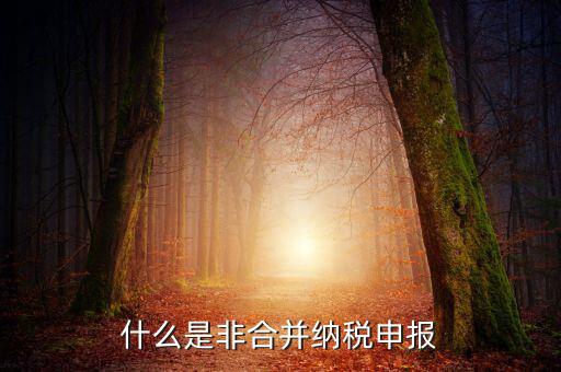 什么是非匯總納稅企業(yè)，什么是跨區(qū)經(jīng)營(yíng)匯總納稅企業(yè)