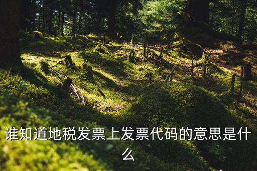 河北地稅發(fā)票的查詢碼是什么意思，如何查詢地稅發(fā)票開票點(diǎn)注冊(cè)碼是什么