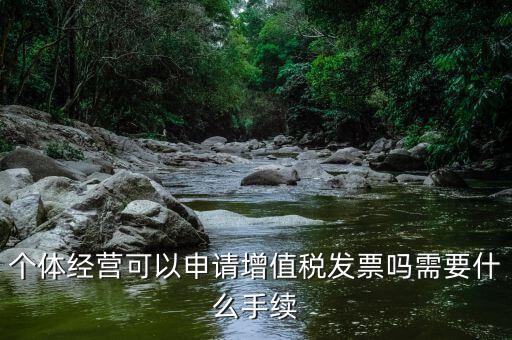 個(gè)體開稅需要什么手續(xù)，個(gè)體戶辦理稅務(wù)登記證需要準(zhǔn)備哪些資料