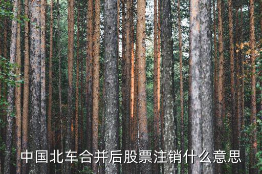 聯(lián)合注銷是什么意思，我們現(xiàn)在兩家公司要合并注冊(cè)資本沒(méi)有變換了法人換了注冊(cè)地