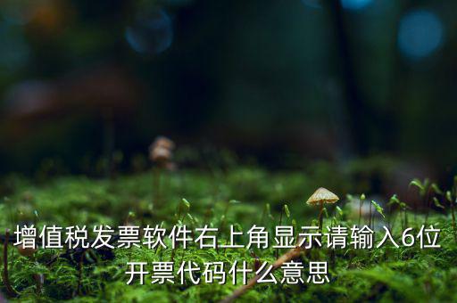 發(fā)票查詢校驗碼后六位是什么，發(fā)票驗證碼是什麼
