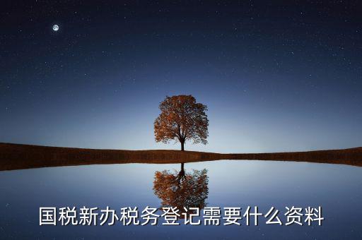 辦理國稅都需要帶什么，國稅登記需要帶什么資料