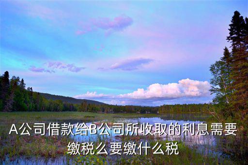 借款利息交什么稅，A公司借款給B公司所收取的利息需要繳稅么要繳什么稅