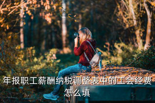 工會(huì)經(jīng)費(fèi)減除項(xiàng)填什么，網(wǎng)上報(bào)稅時(shí)又多了一項(xiàng)工會(huì)經(jīng)費(fèi)怎樣填寫(xiě)計(jì)算