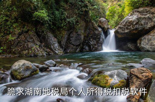 湖南國稅用什么軟件，跪求湖南地稅局個人所得稅扣稅軟件