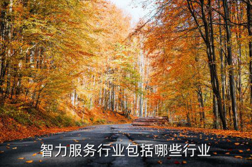 涉稅專業(yè)服務(wù)機構(gòu)包括什么，智力服務(wù)行業(yè)包括哪些行業(yè)
