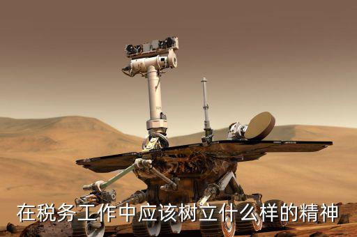 什么是地稅精神，在稅務(wù)工作中應(yīng)該樹立什么樣的精神