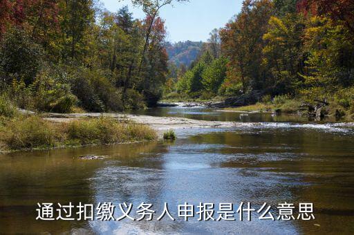 通過扣繳義務(wù)人申報是什么意思