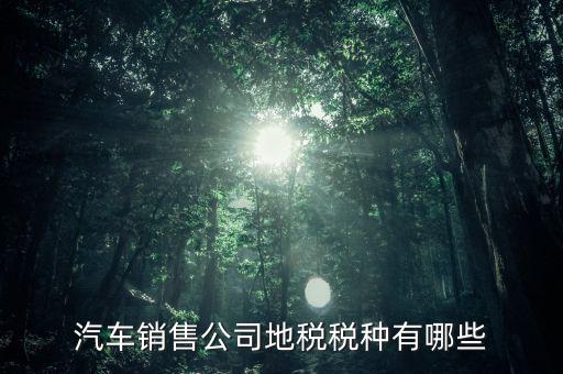 銷售汽車?yán)U納什么稅，一般納稅人公司銷售使用過的汽車要交哪些稅