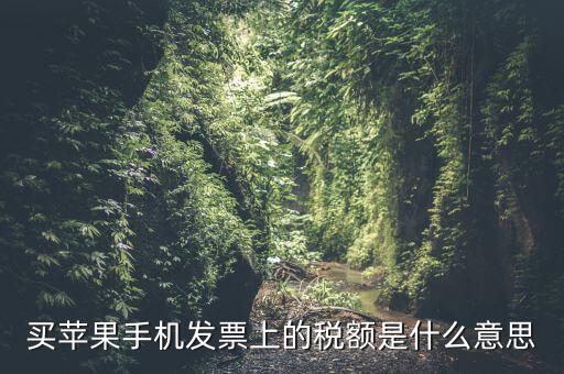 發(fā)票上的稅額是什么意思，買蘋果手機(jī)發(fā)票上的稅額是什么意思