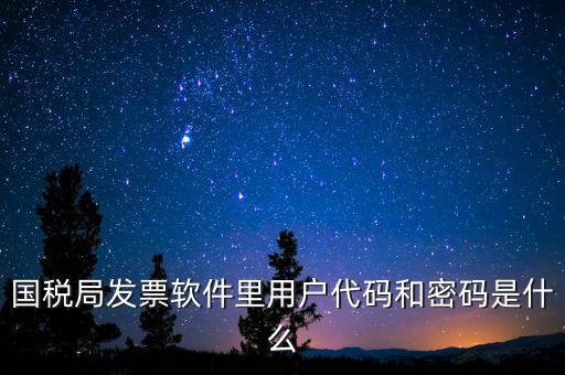 登錄稅務(wù)開票密碼是什么，國稅第一次網(wǎng)上申報的登陸密碼是什么