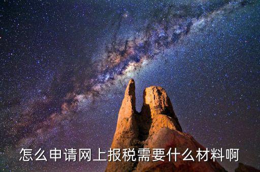 網(wǎng)上國(guó)稅報(bào)稅需要什么資料，怎么申請(qǐng)網(wǎng)上報(bào)稅需要什么材料啊