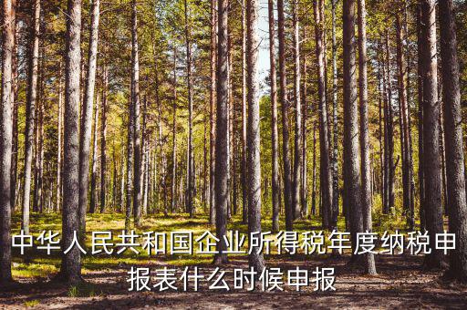 國稅企業(yè)所得稅什么時候申報，企業(yè)所得稅申報時間